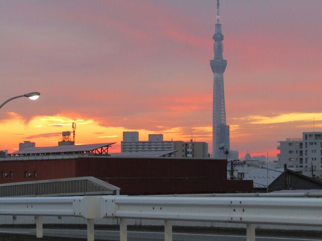 江戸時代の地図と現代を比べてみると、これほど変わった場所って日本中のどこを探してもないのではないか、と思った。<br />それが夢の島をはじめとする江東区の土地である。<br />聞くところによると、夢の島は初めの頃、埋め立てには、高度成長で消費が急速に伸びた結果の廃棄物が使われたが、初めの頃は生ごみなどの生活廃棄物がそのまま捨てられ、そこにはハエとネズミが大発生して、とくに太陽光を遮る（すこしオーバーかな？）ほどのハエの大群は近隣の、と言ってもかなり離れているにも関わらず、住宅街に飛来した。<br />猫の背中、赤子の顔、食卓のすべての食ものに真っ黒にとまり、古館一郎に言わせれば阿鼻叫喚の地獄絵図であったと、当時の新聞は伝えていたとかいないとか。<br />そこで、生ごみを焼却し、１０分の１になったゴミを埋め立て、ネズミにいたっては空から火炎放射を浴びせかけ、この騒動は収まったという。<br /><br />いまでは広い道路、緑の森、すんだ空気、南国の太陽？を浴びる夢の島になったのである。<br /><br />参考文献　東京都の歴史散歩　　山川出版社