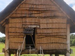 青森‐１　三内丸山遺跡a  縄文時代中期の大規模集落跡　☆竪穴住居・高床倉庫の復元