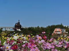 秋空に誘われて、愛・地球博記念公園をさんぽ。　ちょこっとジブリパークの雰囲気も