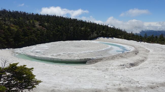 ６月の北東北　残雪、新緑、秘湯を巡る旅　７．残雪の八幡平でハイキング