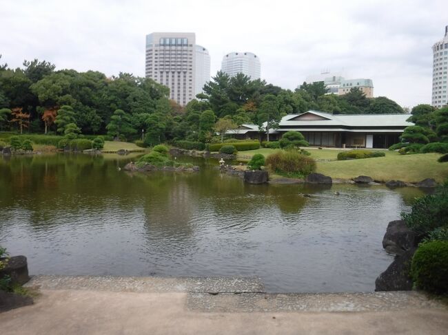 海浜幕張の公園を歩いてみた（散歩です）