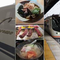食旅く（１）こだま号と新型特急ひだ号グリーン車で美濃国へ。駅弁きしめん焼肉冷麺