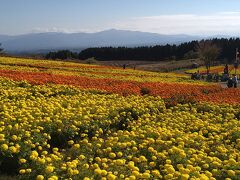 全国旅行支援バスツアーを利用して、くじゅうの自然と和牛を楽しむ～くじゅう花公園・池山水源～