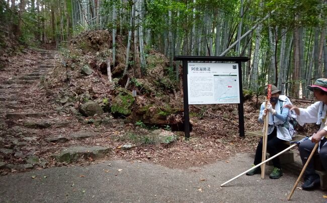 鶴林寺から大龍寺へのふた山越えルートです。<br />登って降りてまた登ると言うハードな行程。<br />