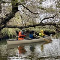 【北海道標津町】 ポー川史跡自然公園を満喫 ～静寂のカヌー体験、伊茶仁カリカリウス遺跡等（子連れ）～