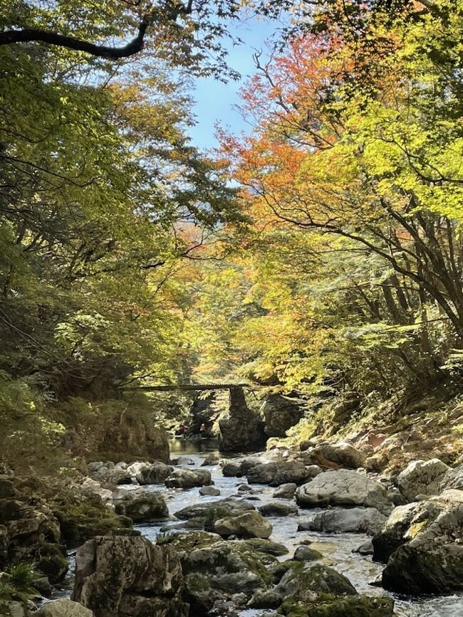 渓谷の清流と色鮮やかな紅葉☆小田深山渓谷の紅葉☆紅葉とコスモスに癒される秋の日帰り旅①前半