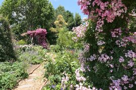 初夏の信州　薔薇紀行♪　Vol.213 ☆小諸：夢ハーベスト農場　初夏の花と薔薇の美しい庭園♪