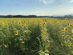 【山形】お友達をご案内♪山形の晩夏は食い倒れ！