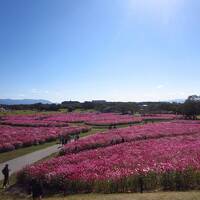 ２０２２年１０月　福岡へ1泊2日