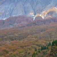 初秋の大山で紅葉狩りリベンジ