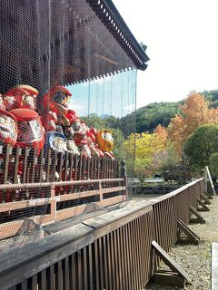 秋だ！モミジだ紅葉だ！そうだ！赤城でおっきりこみを食べてから達磨寺に紅葉狩りに行こう！あれ？