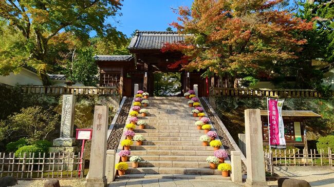 10月下旬の週末、一泊二日で修善寺へ行ってきました。<br />初めての修善寺。<br />ちょうど菊まつりも開催されていて華やかでした。<br />あまり予定を詰め込まず、温泉とそば三昧でゆっくりのんびりしてきました。<br />