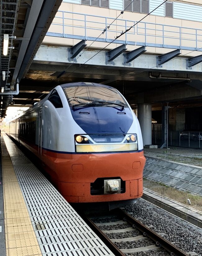 JR東日本全線に乗り放題！JR東日本パスで行く東北～関東　ほぼ一筆書きの旅⑤