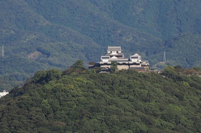 松山空港発着便でした。<br /><br />前回の北海道旅行よりもコロナ対策はゆるめで飛行機は満席。両空港では活気が戻ってきたなと感じました。<br /><br />表紙は展望塔からみえる松山城。