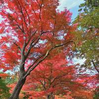 秋の東北３県紅葉巡り《５》～平泉散歩①／奥州藤原氏３代の栄華を今に伝える中尊寺へ～