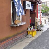 猫探し【石川・能登半島（Noto Peninsula）編&#917763;】