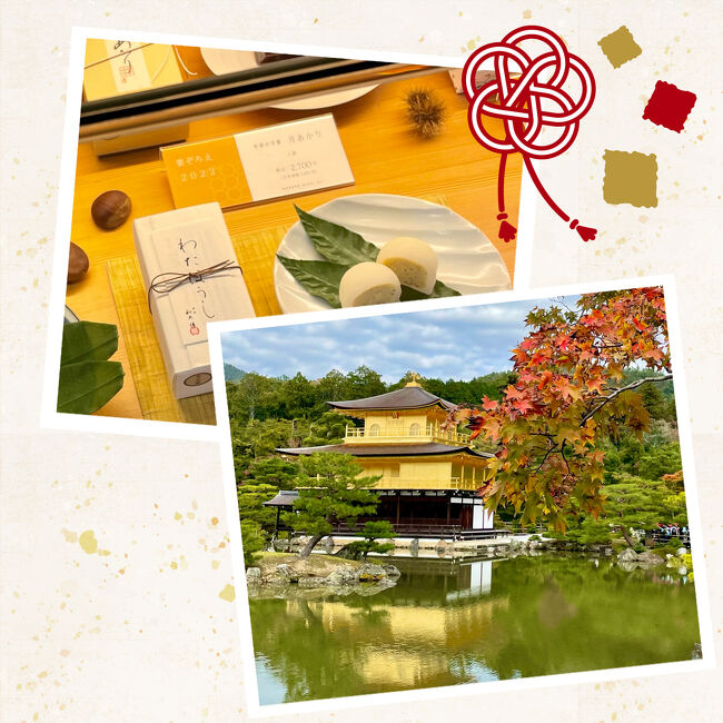 秋になると京都に行きたくなります。<br />昨年食べた「ふたば」さんの丹波栗に感動して<br />栗が好物では無いけれど、老舗和菓子店が沢山ある京都。栗が旬のこの時期「美味しい栗を食べたい」と1泊2日のおひとり様旅に出発します！