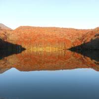 美しい朝焼けに染まる蔦沼と十和田湖の紅葉。朝陽に染まる蔦沼③。