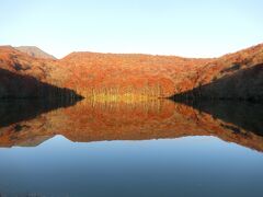 美しい朝焼けに染まる蔦沼と十和田湖の紅葉。朝陽に染まる蔦沼③。