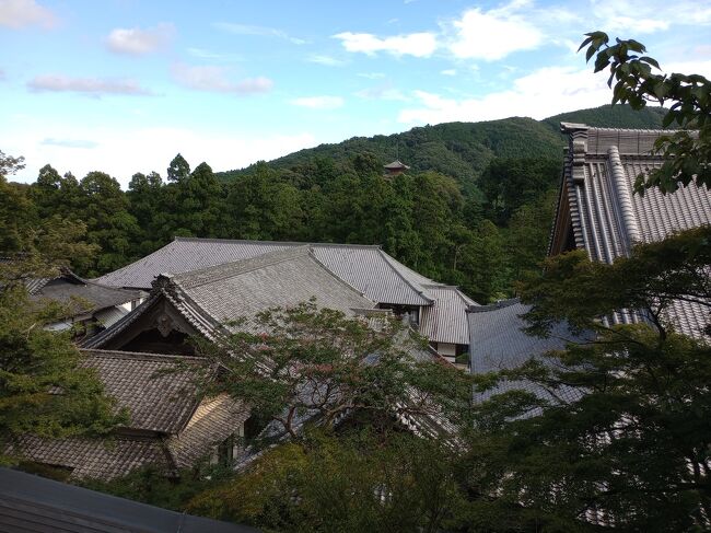 青春18切符を利用して浜松駅へ行き、<br />遠鉄バス奥山線で、浜名湖湖北五山のうち、宝林寺、龍潭寺、方広寺を巡りました。