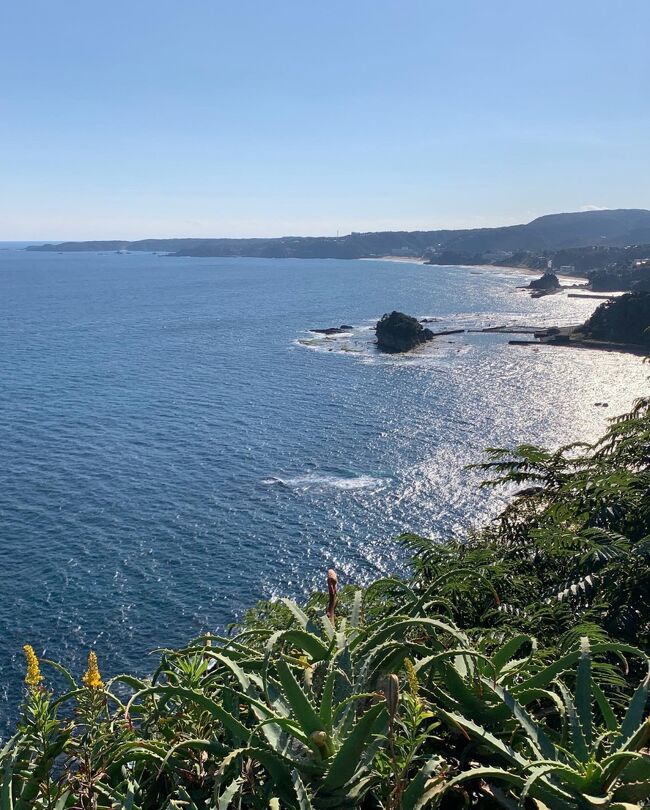 夫は趣味でウィンドサーフィンを20代の頃からずっとやっています。<br />風と波があれば日帰りでもどこへでも向かいます。<br />下田もよく行っていて全国旅行支援も使えるし、たまには同行しようと二泊三日で行ってきました。