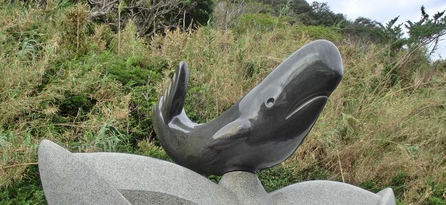 2020年９月、香川県善通寺市にある、弘法大師空海の生誕地である「善通寺」に立ち寄ったことをきっかけに、四国８８か所を回っています（般若心経を読めませんが）。今回は２泊３日の旅で、１日目は徳島港から室戸市まで行きました。