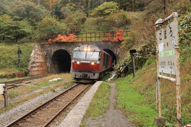 トンネルとトンネルの間にある不思議な駅、小幌駅。なんとも言えないユニークな雰囲気を醸し出している。<br />下りは、なんと一日に二本しか止まらない。<br />そんなひっそりとした駅を、特急やコンテナ列車が時折、凄まじいスピードで駆け抜けてゆく。<br />上りの15時6分着で小幌駅に到着し、下りの15時50分発で折り返した。<br />降り立ったのは鉄道が好きな人だけで、その数十分間、不思議な駅はにぎわっていた。<br />廃止にしてほしくないな、小幌駅。