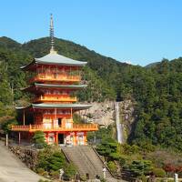 和歌山にパンダと滝を見に行ってきた！③