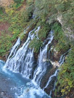 2022秋の北海道旅行　（その1－白金）