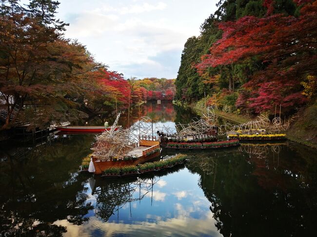 現存12天守めぐりの一環として弘前城登城が主目的。<br />弘前市りんご公園でのリンゴ収穫体験や菊と紅葉まつりで紅葉を見たり、街に残る洋風建築を見たり、充実の旅でした。<br />帰りに三内丸山遺跡と八甲田丸も訪ね秋を満喫しました。<br />初日は新幹線で新青森-奥羽本線で弘前に移動し、弘前公園で弘前城に登城しました。