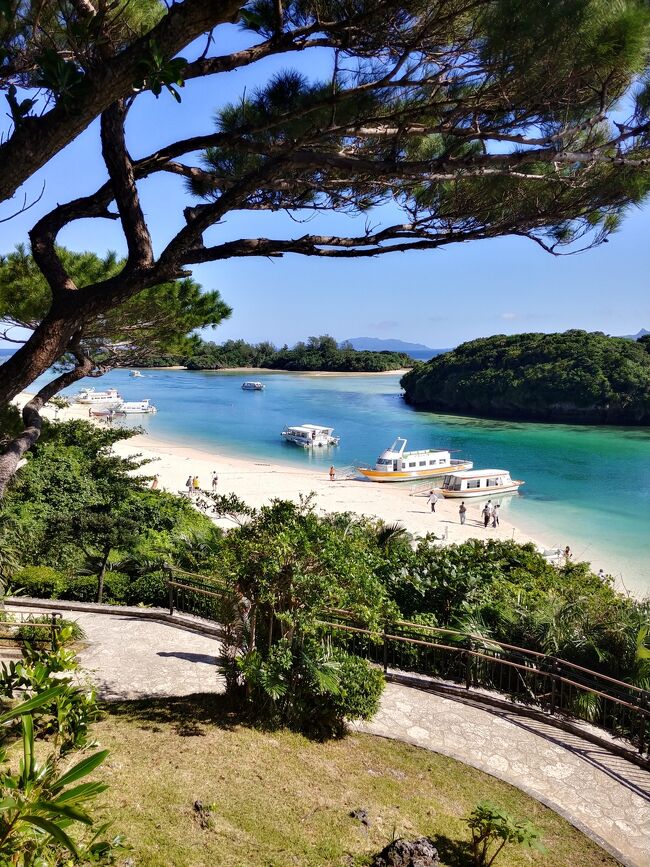 2022　11月　今年5回目の沖縄　クラブメッド石垣島　3泊+α　一人旅　④　+αで石垣市内へ宿泊