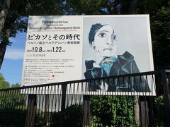パブロ・ピカソ 一房のブドウのある静物(1914年)