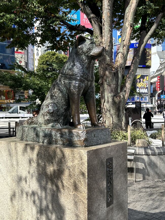 山手線によく乗るのでしょっちゅう渋谷駅は通り過ぎるのですが、ここ数年は渋谷じゃないとダメな用事がない限り渋谷駅で降りることはなくなってしまいました。<br />今回は渋谷に来る用事があり久しぶりに渋谷に来ましたのでそのお散歩記録です。