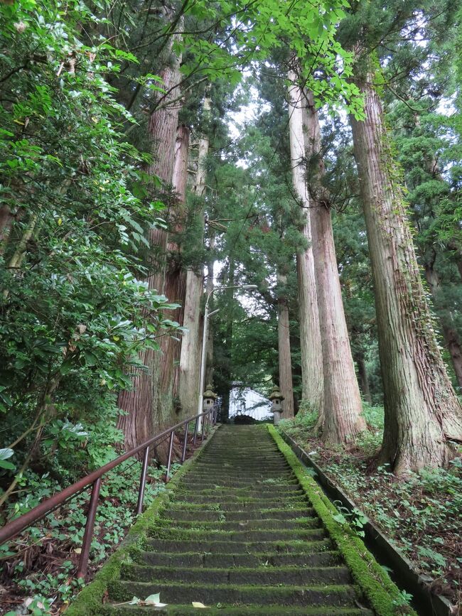 タイトル上は　映画「蝉しぐれ」のロケ地としましたが　このあたりは言ってみれば　「蝉しぐれ」の作者　藤沢周平の世界そのものでした。<br />藤沢さんは　鶴岡市郊外の高坂(たかさか)に生まれました。<br />山形師範学校を卒業後　湯田川中学校の先生になりました。　<br />そんなわけで　藤沢作品にはこのあたりの情景が　色濃く反映されています。<br />２００５年に映画化された際には、ロケ地としてこの湯田川温泉も利用されたようです。