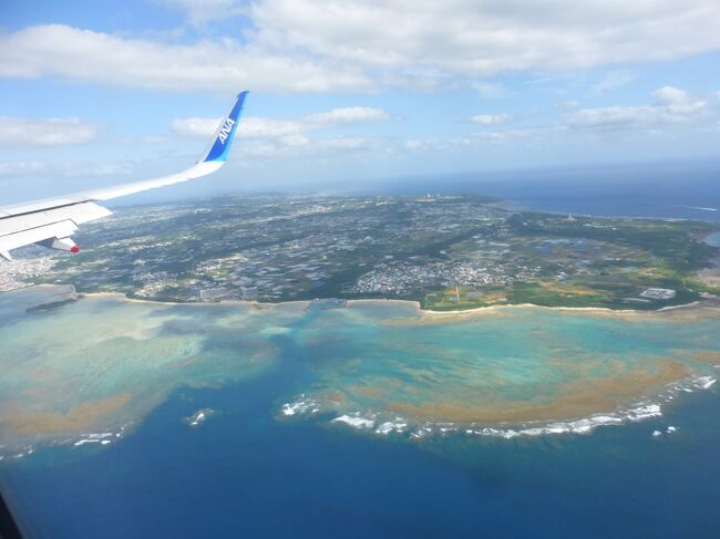 ４トラへの投稿は、２０２２年１０月中に行った旅行までと決めたのですが、私は飛行機が好きなので、その最後を飾る旅行（４トラへの投稿は終了しますが、旅行はします）は、飛行機を使った旅行記にしたかったのです。<br /><br />そんな中、ＡＮＡサイトで、今週のトクたびマイルを見ると、福岡から片道４，５００マイルで予約出来る行き先に、名古屋（中部）、羽田、那覇があったのです。<br /><br />搭乗希望日だと、名古屋（中部）便は空席が多く希望の窓側席が取られそうだったのですが、割と最近行ったばかりだったのです。<br /><br />次に、羽田便は予約出来ない事はないものの、窓側席が既に空いていない状況でした。<br /><br />その次に、那覇便を見ると、往復ともお昼頃の便だと、窓側席が取られる状態であったのと、往路便は、まだ未搭乗の、Ａ３２１に乗られる事も決め手になり、久し振りの那覇行きにしました。<br /><br />ホテルは、全国旅行支援で予約出来る、それなりに良いホテル泊も検討していたのですが、那覇での滞在時間が短いので、場所が便利な、国際通り直ぐ近くのビジネスホテル泊に落ち着きました。<br /><br /><br />今回の、日程・行程は下記の通りです。<br /><br /><br />１０月２５日（火）<br /><br />・福岡空港に移動後、展望デッキなどを散策<br />・福岡空港ＡＮＡラウンジ＆初めて入るカードラウンジ利用<br /><br />福岡　１２：０５－ＡＮＡ１２０５（Ａ３２１）－那覇　１３：５５<br /><br />・ゆいレールで美栄橋駅に移動<br />・ホテル前の、「どん亭 牧志店」でランチ<br />・「ホテル アートステイ那覇国際通り」にチェックイン<br />・国際通り散策<br />・ホテル前の、「どん亭 牧志店」で夕食<br /><br /><br />「ホテル アートステイ那覇国際通り」ダブルルーム（１６平米）泊<br /><br />公式サイト：https://www.resorts.co.jp/artstaynaha<br /><br />元の宿泊料金は、７，７４０円（素泊まり）だったのですが、手持ち楽天ポイント（２００円）利用と、全国旅行支援割引で、４，０７３円でした。<br />でも、３，０００円分の地域クーポン券が貰えたので、実質、１，０７３円で泊まられました。<br /><br /><br />１０月２６日（水）<br /><br />・ホテルから那覇空港に移動<br />・那覇空港内（国内線＆国際線エリア）散策<br /><br />那覇　１２：３０－ＡＮＡ１２０６－福岡　１４：１５<br /><br />------------------------------------------------------------------------------------<br /><br />ＡＮＡ１２０５便（Ａ３２１）で、福岡～那覇間を搭乗した時の様子です。<br /><br />写真のコメントは、一部を除いて省略させて頂きます。<br />------------------------------------------------------------------------------------<br />これ以前の旅行記は下記です。↓↓<br />【福岡空港施設内・展望デッキなど散策編】<br />https://4travel.jp/travelogue/11788995<br />【福岡空港ＡＮＡラウンジ＆初利用のカードラウンジ利用編】<br />https://4travel.jp/travelogue/11789090