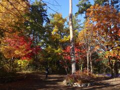 国営アルプスあづみの公園