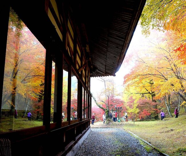 団塊夫婦の日本紅葉を巡る旅・2022甲信ー（２）高瀬渓谷＆紅葉穴場の霊松寺へ