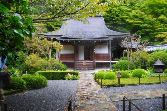 そうだ京都へ行こう2022.10　その８土砂降りの中、大原の寂光院へ。