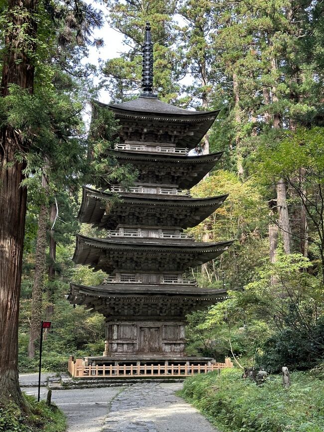 今回の旅行で月山と鳥海山を散策することが大きな目的だった。レンタカーを借りて、まず月山八合目に行って弥陀ヶ原を散策を楽しみにしていた。次に、出羽三山神社も楽しみだった。随神門から続く長い急な石段を苦労して上り切った時の達成感としんどさは記憶に残る体験になった。下山して約１時間の時間は鶴岡市内で致道博物館の見学に使った。<br />１０月２７日（木）ホテルをチェックアウトして、レンタカー会社に行き、レンタカーで出発。まず、月山八合目を目指すが、四合目で通行禁止になっていたので、次の目的地である出羽三山神社に行く。随神門から神橋、五重塔を経由して長い石段を上って、やっとのことで頂上に到着。羽黒山三神合祭殿、鐘楼と建治の大鐘堂などを見学して下山。鶴岡市に行く致道博物館を見学。ホテルにチェックインする。近くの居酒屋で夕食。