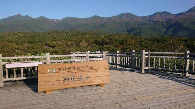 道東の旅　今回の旅程<br /><br />◇１日目→夕方発の飛行機で新千歳空港へ。エアターミナルホテルに宿泊のみ。<br />◇２日目→釧路での観光（釧路湿原中心）屈斜路湖まで移動して、屈斜路プリンスホテルに宿泊。<br />◆３日目→屈斜路湖から、知床半島まで観光していきます。知床第一ホテルに宿泊。<br />◇４日目→知床から、摩周湖を回り、再び釧路へ。釧路センチュリーキャッスルホテルに宿泊。<br />◇５日目→釧路から新千歳空港まで移動し、帰宅。<br /><br />３日目。一番楽しみにしていた知床も観光します。<br />キタキツネに出会ったり、遠目から熊を眺めたり。<br />お天気が良くて、暑い１日でした。<br /><br />※表紙は、知床五胡の高架木道から見た知床連山。<br /><br />