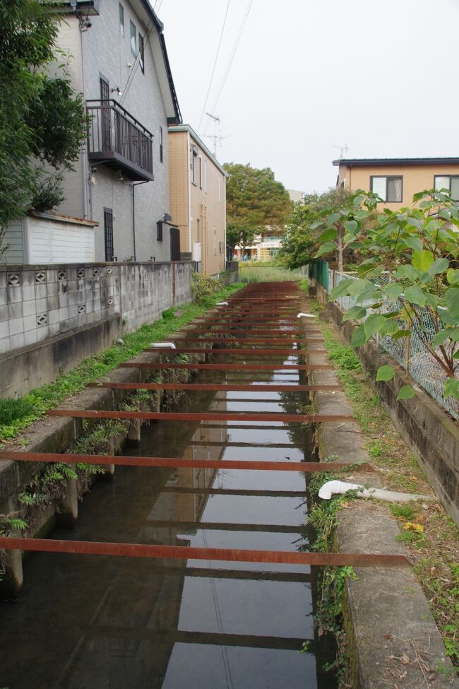 10／22(土)は、「埼玉スリバチ学会」の白岡・蓮田のフィールドワークに参加しました。<br />朝、準備運動のつもりで、久喜駅より歩き始め、ここは低地で、たくさんの水路を横切りました。<br />白岡市の朝日バスの「押出し」というバス停で皆さんと合流。「白岡」の「岡」は台地を意味するそうで、僅かな高低差を上り下りし、社寺などを巡りました。真っ直ぐな参道が有る久伊豆（ひさいず）神社がいくつも有ります。<br />午後は、蓮田市へ入り、こっちは台地と低地が入り組んでいます。大昔は海が入り込んでいたようで、台地のヘリが貝塚となっています。低地の湿地、沼を巡りました。<br />帰りの朝日バスに乗ると、車窓に元荒川が見えました。