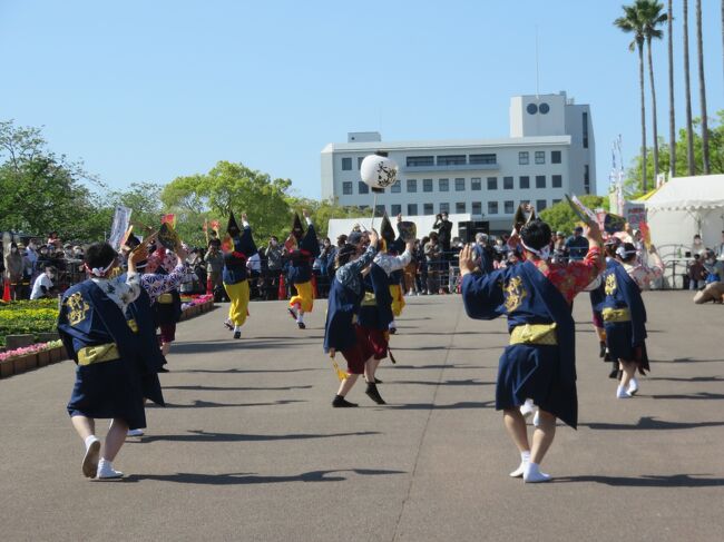 フェスで阿波踊りを