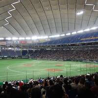 東京ドームシティ イチロー対高校女子選抜　野球観戦