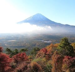 団塊夫婦の日本紅葉巡りドライブ・2022甲信ー（３）速報。富士山麓の紅葉も見頃・紅葉回廊＆紅葉台