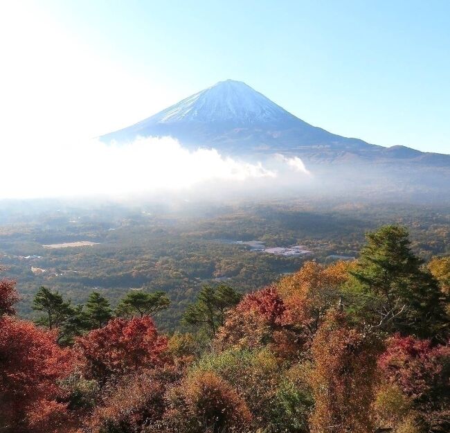 団塊夫婦の日本紅葉を巡る旅・2022甲信ー（３）富士山麓の紅葉も見頃・紅葉回廊＆紅葉台