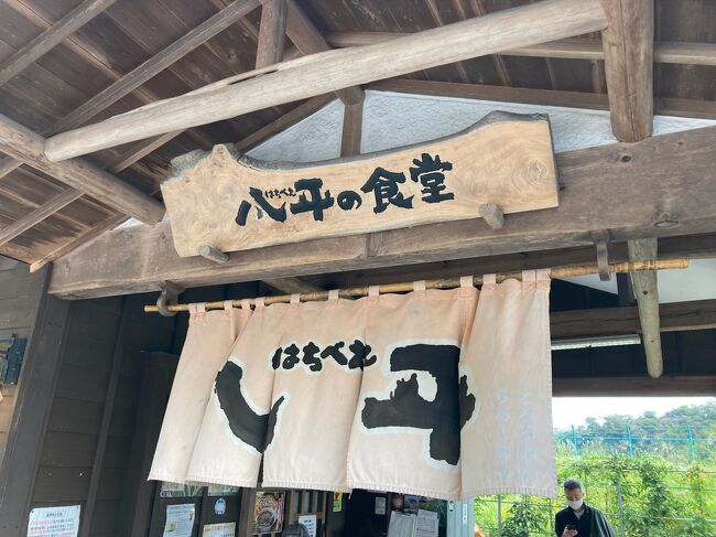 インターネット記事で千葉三大ラーメンは「勝浦タンタンメン」「竹岡式ラーメン」「アリランラーメン」 といわれている。<br /> 勝浦タンタンメンは何度も食べたことあるし、ラーメンの個性や美味しさは検証済み。<br /> 残り2つのうち、竹岡式ラーメンと称するラーメンを富津市ではなく、仕事途中に佐倉市の街道沿いで食べたには食べた(あまりにも味にピンとこなかったので、職場の通にそこを聞いたら、ダメだよそんなとこじゃと返答された)。<br /> アリランラーメンは完全に未食というか、個人的にネーミングが悪く寄り付かなかった。でも叩き切るならコロナ禍の今だ!県外遠征も手控えている今、行ってみることに。<br /> アリランラーメンの「らーめん八平」は1972年創業。誕生して50年以上も経過した歴史あるお店ですが、そもそも千葉三大ラーメンとかいわれるようになったのも2010年代に入ってからのようだ。どこの誰が言い出したのだろう。工作資金を渡して宣伝工作をしたものだろうか。