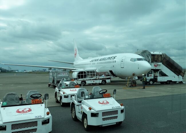 奄美大島3日間（１）羽田空港～奄美空港