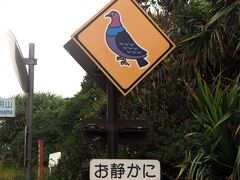 小笠原諸島 父島へ一人旅２*・゜・*雨に振り回された１日、森歩きへ*・゜・*