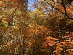 晩秋の国営アルプスあづみの公園2022