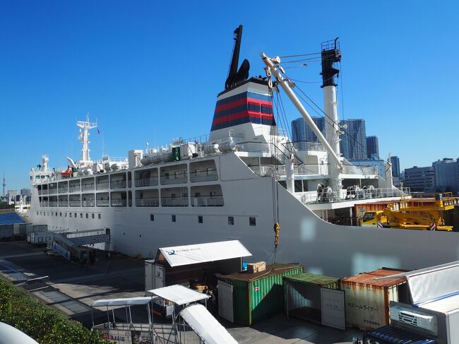 小笠原諸島 父島へ一人旅１*・゜・*おがさわら丸で過ごす24時間*・゜・*